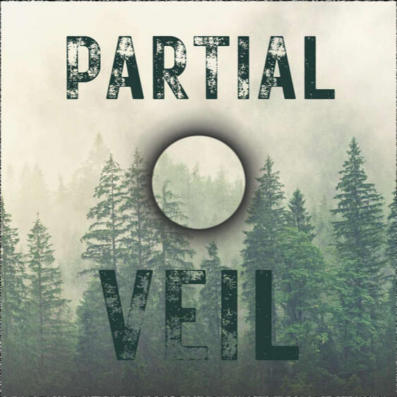 Partial Veil Partial Veil
